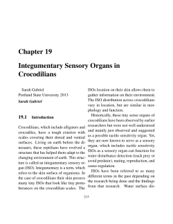 Chapter 19 Integumentary Sensory Organs in Crocodilians