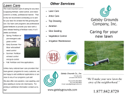 Caring for your new lawn