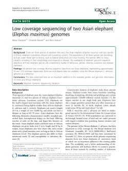 Low coverage sequencing of two Asian elephant (Elephas maximus