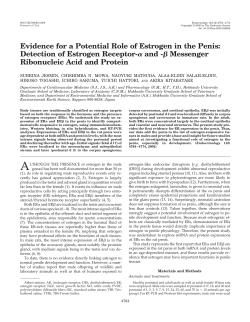 Evidence for a Potential Role of Estrogen in the Penis: Detection of