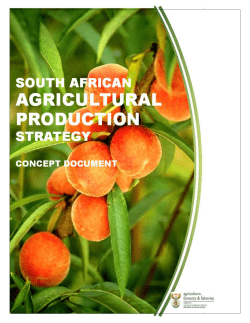 South African Agricultural Production Strategy Framework