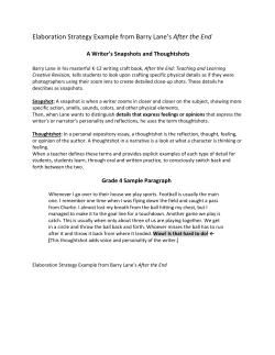 Snapshots and Thoughtshots