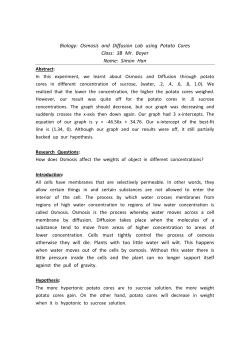 Biology: Osmosis and Diffusion Lab using Potato Cores Class: 3B