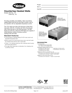 Countertop Heated Wells