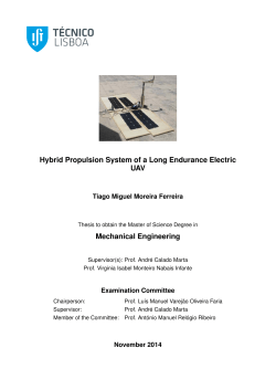 Hybrid Propulsion System of a Long Endurance