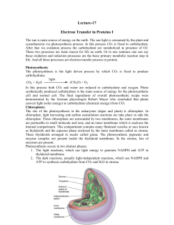 Lecture-17 Electron Transfer in Proteins I