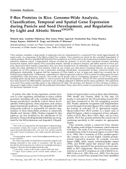 F-Box Proteins in Rice. Genome-Wide Analysis, Classification