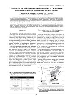 Fossil record and high-resolution tephrostratigraphy of