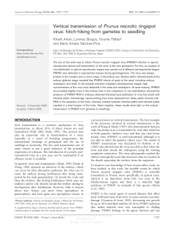 Vertical transmission of Prunus necrotic ringspot virus: hitch