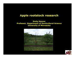 Advances in Tree Fruit Propagation in Minnesota