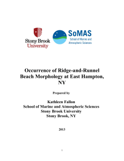 Occurrence of Ridge-and-Runnel Beach Morphology