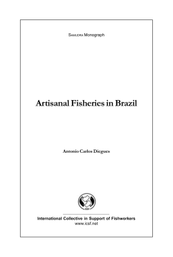 Artisanal .isheries in Brazil