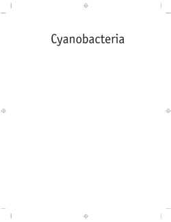 Cyanobacteria - Wiley Online Library