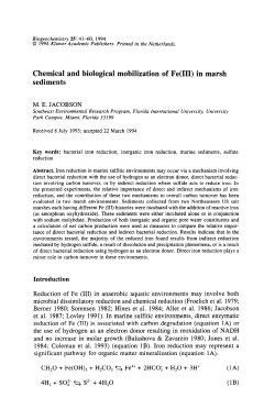 Chemical and biological mobilization of Fe(III) in marsh sediments