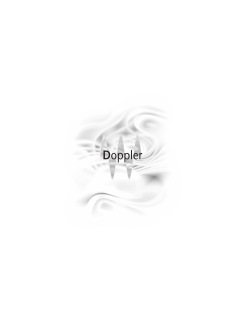 Doppler manual 2