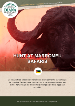 Hunt at Marromeu Safaris