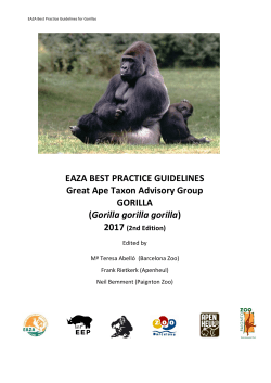 EAZA Best Practice Guidelines for Gorilla