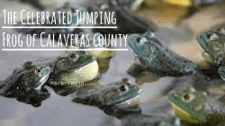 The Celebrated Jumping Frog of Calaveras county