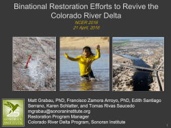 Binational Restoration Efforts to Revive the Colorado River Delta