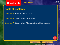 arthropods