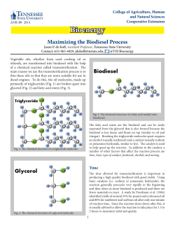 Maximizing the Biodiesel Process