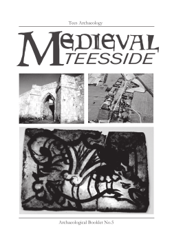 Tees Archaeology