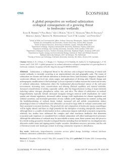 A global perspective on wetland salinization: ecological