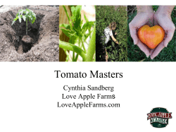 Tomato Masters - Love Apple Farms