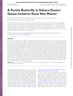 A Forest Butterfly in Sahara Desert Oases: Isolation Does Not Matter