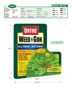 Ortho Weed B Gon, Kills Weeds Not Lawns