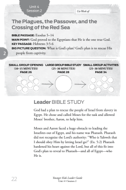 The Plagues, the Passover, and the Crossing of the Red Sea
