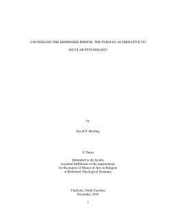 i COUNSELING THE DEPRESSED PERSON: THE PURITAN