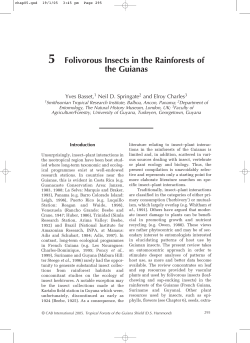 5 Folivorous Insects in the Rainforests of the Guianas