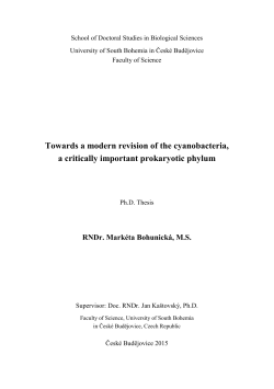 Towards a modern revision of the cyanobacteria, a critically