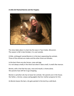 A Little Girl Named Bonnie and Her Puppies The story takes place in