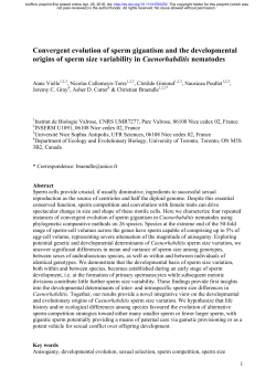 Convergent evolution of sperm gigantism and the