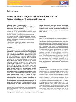 Minireview: Fresh fruit and vegetables as vehicles for the
