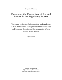 Grossman - Judicial Review Testimony