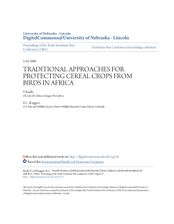 traditional approaches for protecting cereal crops from birds in africa