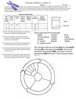 Surface Area to Volume and Cell Cycle Coloring