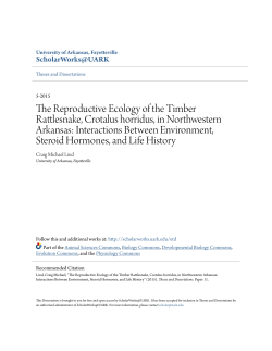 The Reproductive Ecology of the Timber Rattlesnake, Crotalus