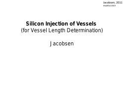 Silicon Injection of Vessels (for Vessel Length Determination