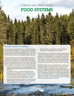 Forests and fresh water food systems