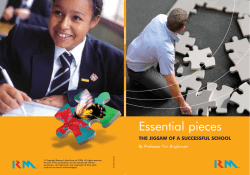 The Jigsaw of a Successful School