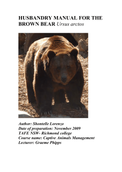 husbandry manual for the brown bear