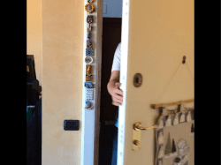 Leaves of Grass - Cornelio Tacito