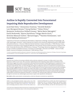 Aniline Is Rapidly Converted Into Paracetamol