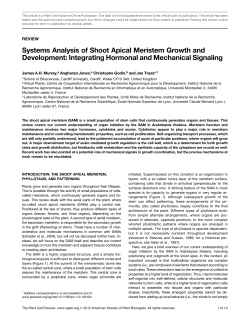 Systems Analysis of Shoot Apical Meristem Growth