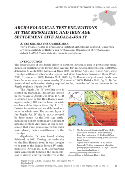 ARCHAEOLOGICAL TEST EXCAVATIONS AT THE MESOLITHIC