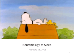 Neurobiology of Sleep